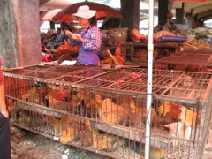 Françoise et Alain - Circuit au Yunnan - Septembre 2014 (12 jours)